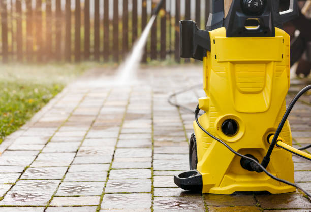 Animal Enclosure Cleaning in New Madrid, MO